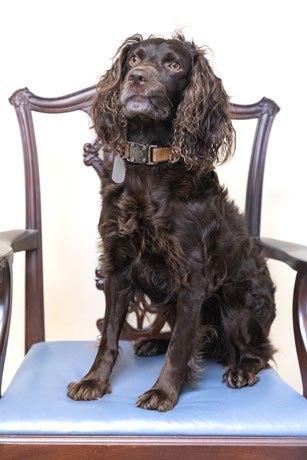 Russell — Client Relations and Head of Treat Department